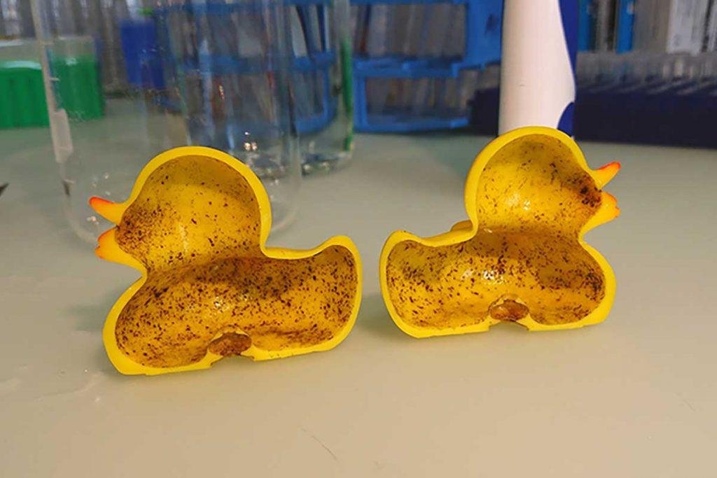 paperella ammuffita